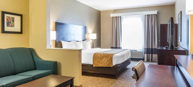 北部舒适套房酒店(Comfort Suites North)图片