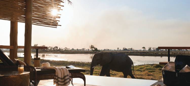 鹰岛山林小屋 - Belmond(Eagle Island Lodge, a Belmond Safari)图片