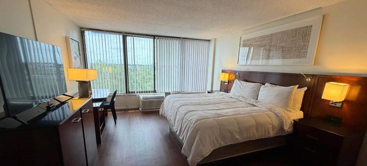 观景工作室套房和活动现场(The View Hotel, Trademark Collection by Wyndham)图片