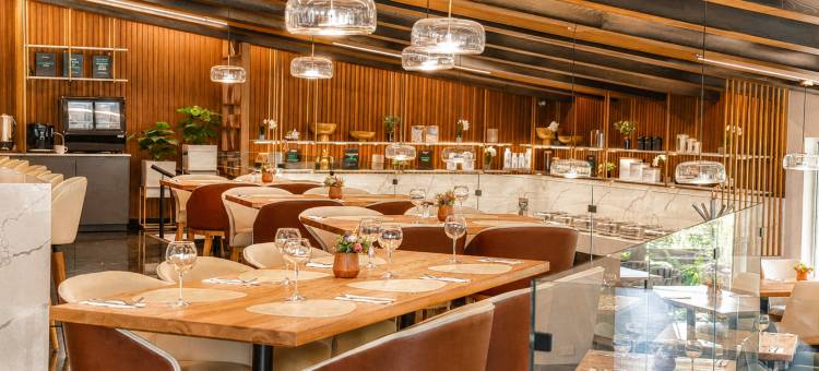 杜兰戈假日酒店(Holiday Inn DURANGO by IHG)图片