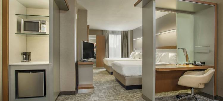 路易斯威尔市中心万豪SpringHill酒店(SpringHill Suites Louisville Downtown)图片