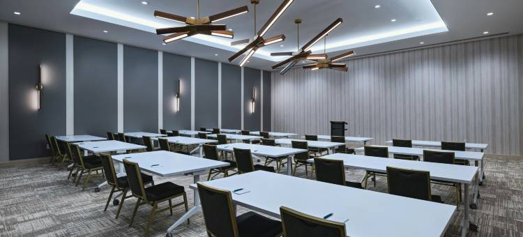 达拉斯拉斯科琳娜源宿酒店(Element Dallas Las Colinas)图片