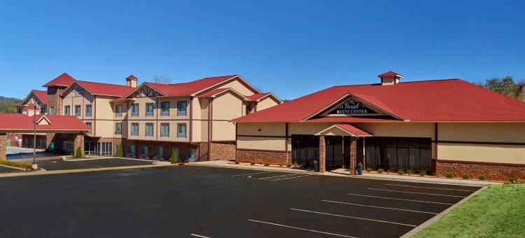 海伦万枫套房酒店(Fairfield Inn & Suites Helen)图片