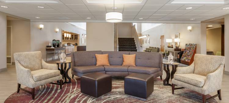 Homewood Suites by Hilton-清水(Homewood Suites by Hilton St. Petersburg Clearwater)图片