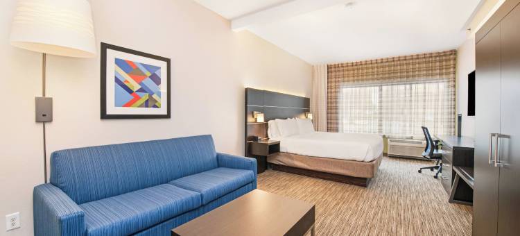 德拉菲尔德智选假日酒店(Holiday Inn Express & Suites DELAFIELD by IHG)图片