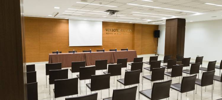 维拉克鲁斯广场 SPA 酒店(Hotel Veracruz Plaza & Spa)图片