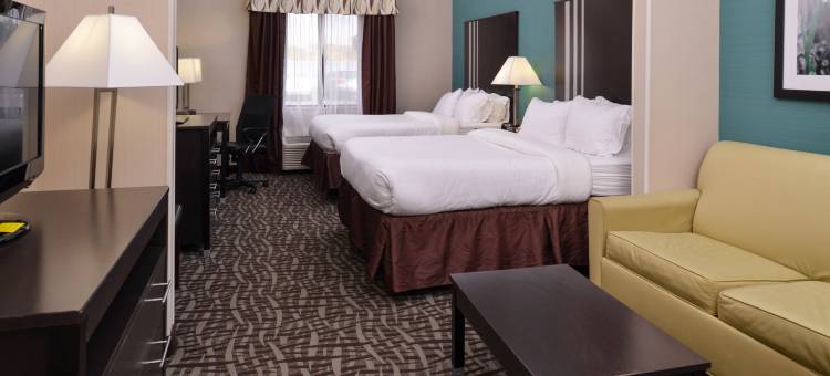 智选假日套房酒店扬斯敦(N.利马/博德曼)(Holiday Inn Express & Suites Youngstown (N. Lima/Boardman))图片