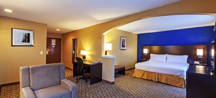 洲际酒店集团智选假日套房酒店休斯顿市中心会议中心(Holiday Inn Express & Suites Houston-Dwtn Conv Ctr)图片