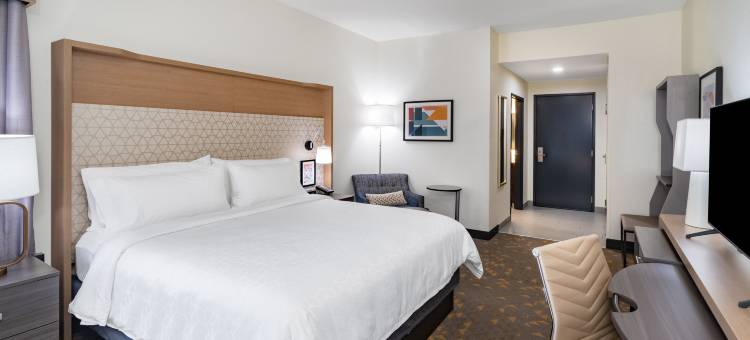 Holiday Inn 南海文中环 - 孟菲斯(Holiday Inn SOUTHAVEN CENTRAL - MEMPHIS by IHG)图片
