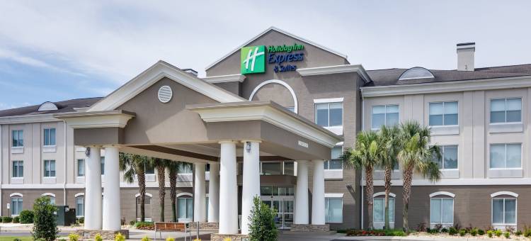 智选假日套房酒店都柏林(Holiday Inn Express & Suites DUBLIN by IHG)图片