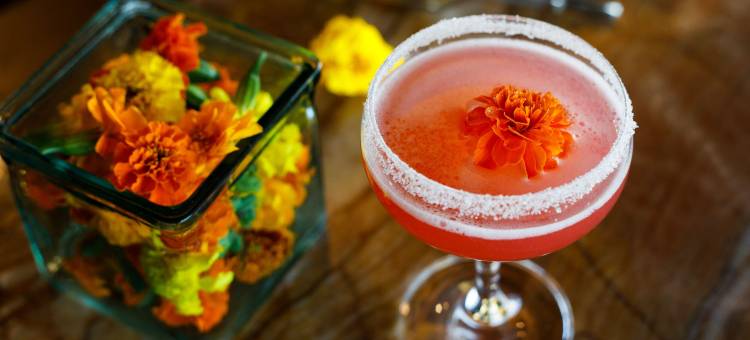 Hotel Indy, Indianapolis, a Tribute Portfolio Hotel图片