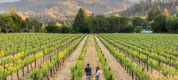 纳帕谷阿丽拉酒店(Alila Napa Valley)图片