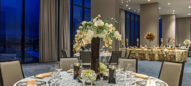 圣何塞拉萨瓦纳希尔顿酒店(Hilton San Jose la Sabana)图片