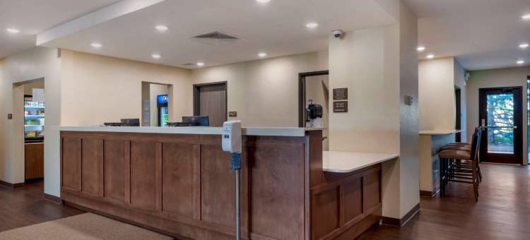 北曼凯托舒适酒店及套房(Comfort Inn & Suites)图片