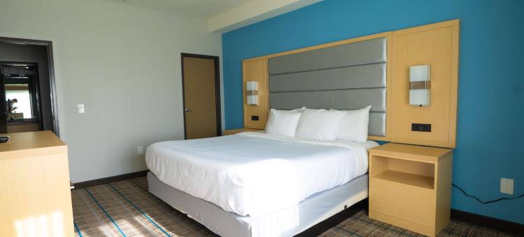 贝斯特韦斯特布莱根市套房酒店(Best Western Brigham City Inn  Suites)图片