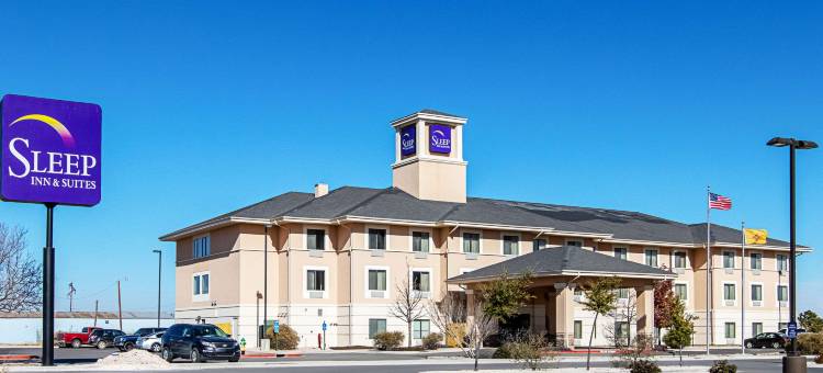 霍布斯的舒眠茵套房酒店(Sleep Inn & Suites)图片