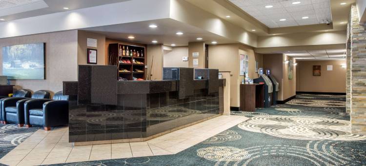 克拉丽奥套房酒店(Clarion Hotel & Suites)图片