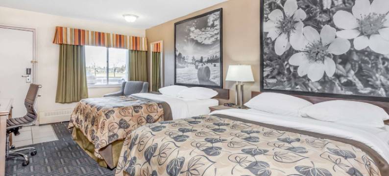 斯泰特勒速8酒店(Super 8 by Wyndham Stettler)图片