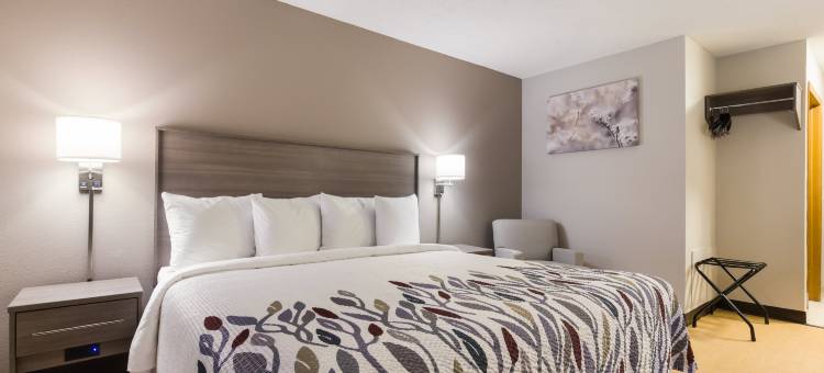 劳伦斯堡红屋顶酒店(Red Roof Inn Lawrenceburg)图片