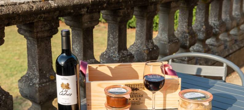 陶兹城堡原生酒店(Château de Tauzies, the Originals Relais)图片