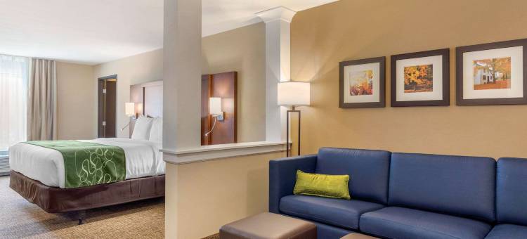 斯克内克塔迪-斯科迪亚舒适套房酒店(Comfort Inn & Suites Schenectady - Scotia)图片