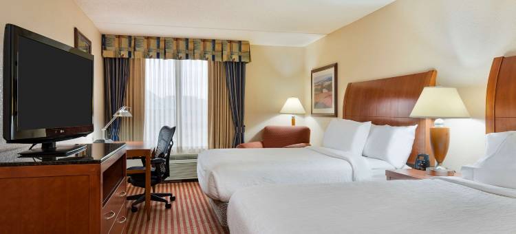 华盛顿哥伦比亚特区格林贝尔特希尔顿花园酒店(Hilton Garden Inn Washington DC/Greenbelt)图片