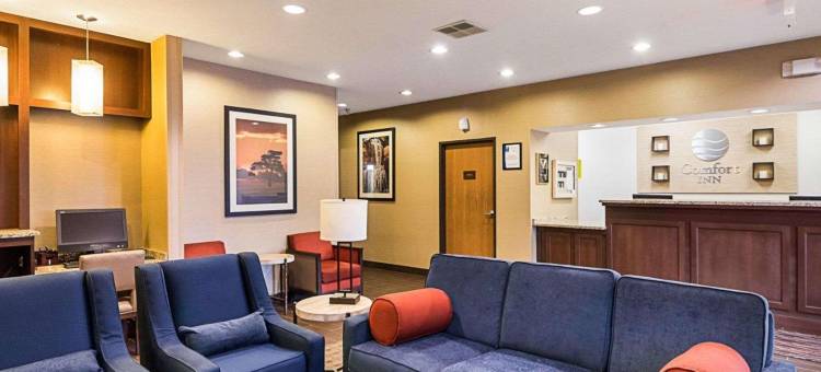 东维奇塔舒适酒店(Comfort Inn East)图片