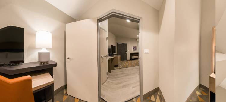 休斯顿西/卡蒂米尔斯假日套房酒店(Holiday Inn & Suites Houston West - Katy Mills)图片