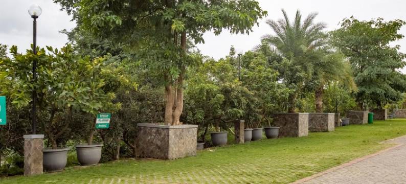 红多兹Plus酒店@普沃达迪(RedDoorz Plus @ Purwodadi)图片