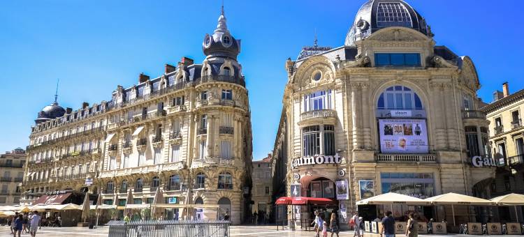 蒙彼利埃丽笙蓝标酒店(Radisson Blu Hotel, Montpellier)图片