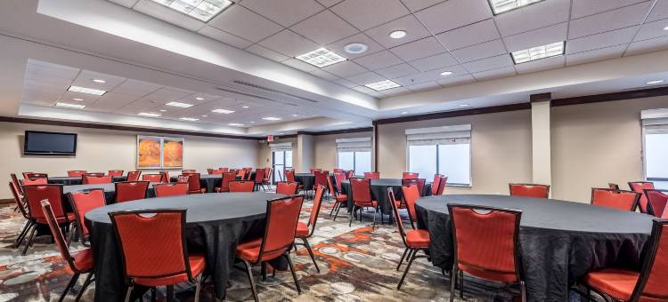 印第安纳波利斯市中心假日酒店(Holiday Inn Indianapolis Downtown)图片