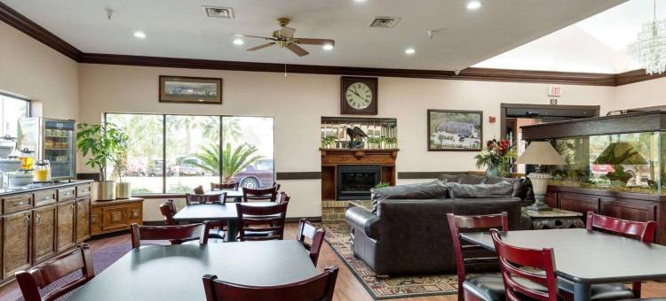 克鲁特杰克森湖舒适全套房酒店(Comfort Suites Lake Jackson Clute)图片