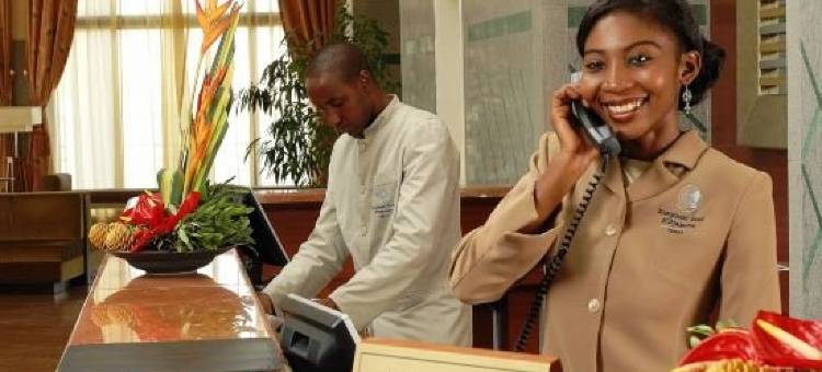 恩贾梅纳莱杰广场酒店(Ledger Plaza Hotel N'Djamena)图片