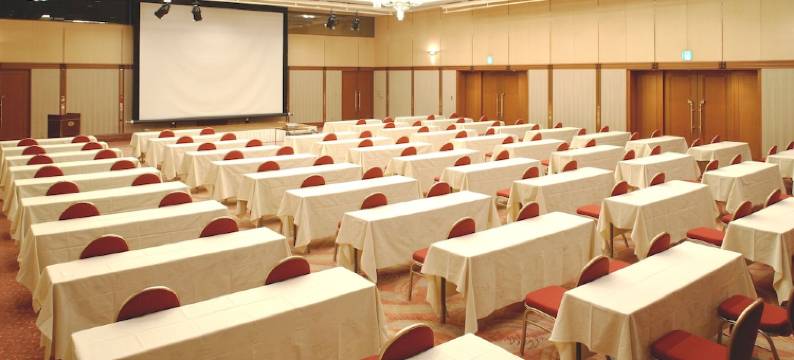 关西机场日航酒店(Hotel Nikko Kansai Airport)图片