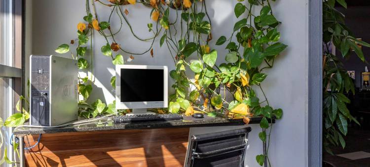 邓肯斯帕坦堡西品质酒店(Quality Inn Duncan Spartanburg West)图片