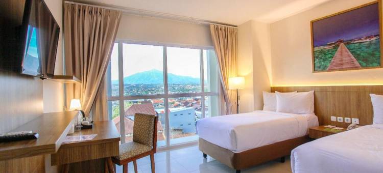 三宝垄安塔维拉地平线旅馆(Horison Inn Antawirya Semarang)图片