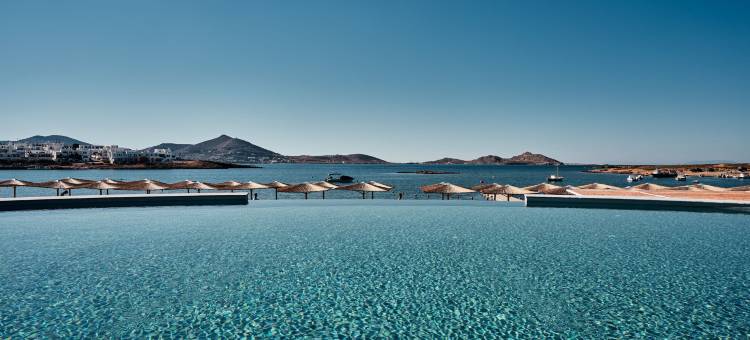 科斯梅豪华精选度假酒店，帕罗斯(Cosme, a Luxury Collection Resort, Paros)图片