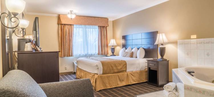 安大略贝斯特韦斯特套房酒店(Best Western Inn  Suites)图片