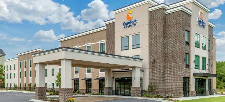 舒适套房旅馆(Comfort Inn & Suites)图片