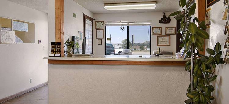 道格拉斯温德姆速8酒店(Super 8 by Wyndham Douglas, WY)图片