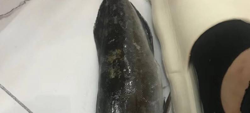 想你的风把你吹来海边公寓(漓江西路分店)图片