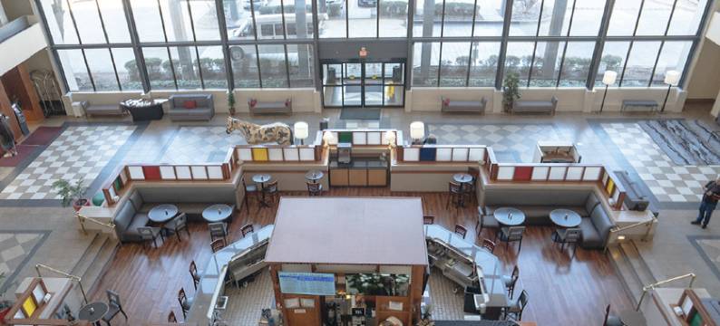 DFW机场中庭套房酒店(Atrium Hotel and Suites DFW Airport)图片