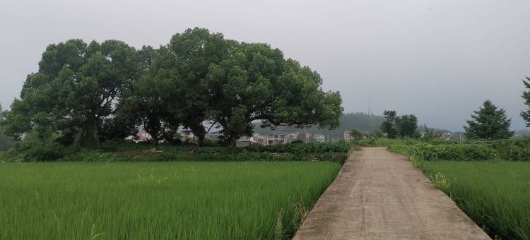 踏水山居度假别墅(汤湾绿道分店)图片
