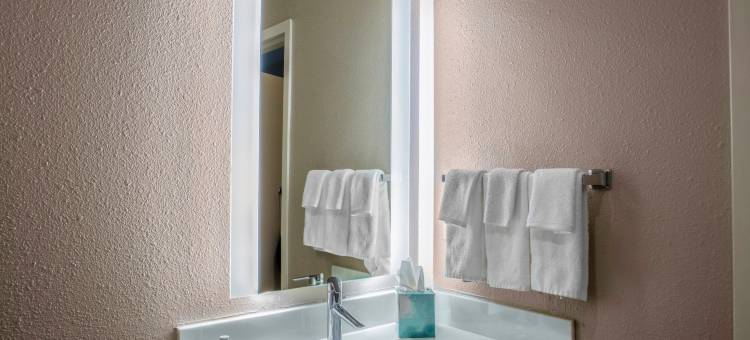 巴吞鲁日南万豪SpringHill酒店(SpringHill Suites Baton Rouge South)图片