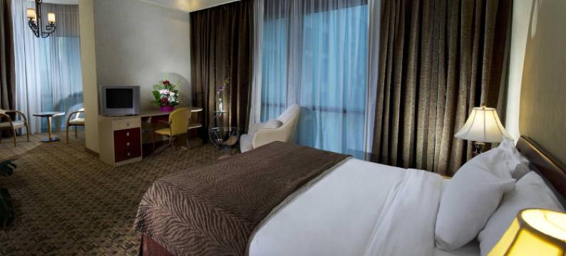 怡东豪华公寓(Excelsior Luxury Apartments)图片