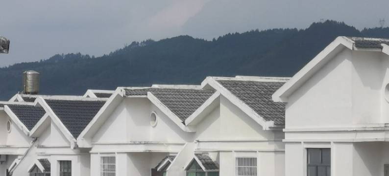 奔跑吧兄嘚度假别墅(致远路分店)图片