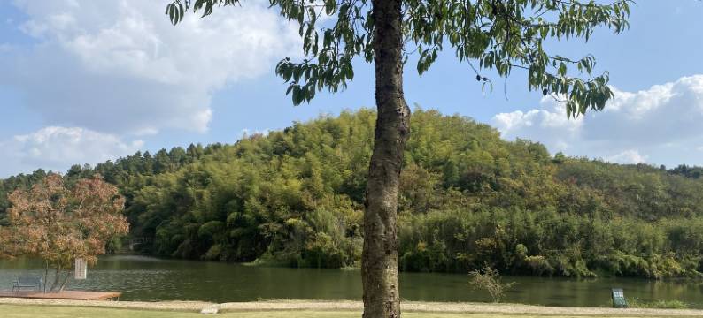 钟山易享家公寓(苜卫路分店)图片