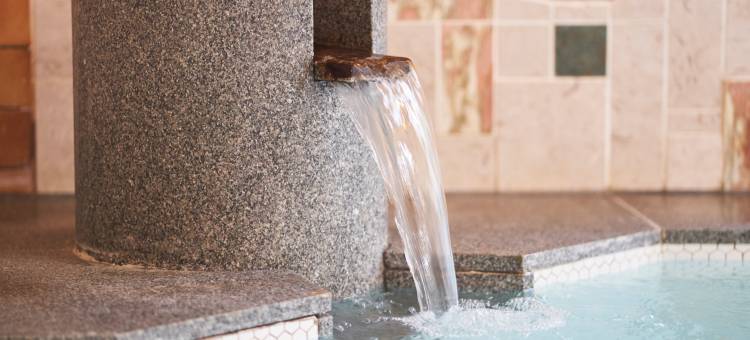 利夫马克斯度假酒店-伊豆高原露台和水疗中心店(LiVEMAX RESORT IZUKOGEN Terrace & Spa)图片