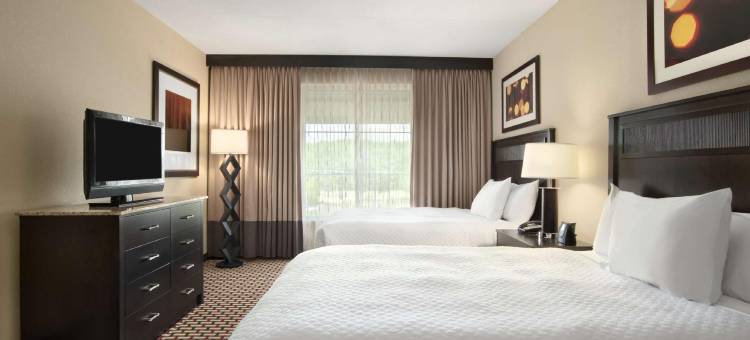 理奇兰杰克逊北希尔顿安泊酒店(Embassy Suites by Hilton Jackson North Ridgeland)图片