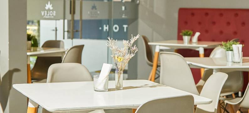 索尔伍酒店(Solev Hotel)图片